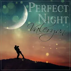 Perfect Night - Single by Valeryan album reviews, ratings, credits