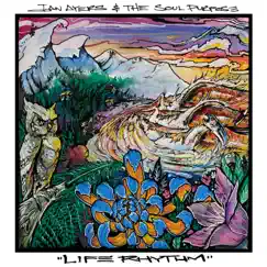 Life Rhythm by Ian Ayers and the Soul Purpose album reviews, ratings, credits