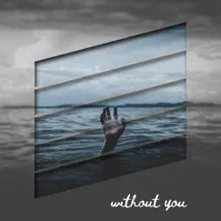 Without You - Single by RoboDJ album reviews, ratings, credits