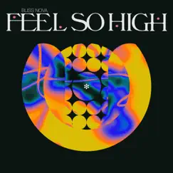 Feel So High - Single by Bliss Nova album reviews, ratings, credits
