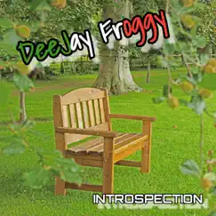 Introspection - Single by DeeJay Froggy album reviews, ratings, credits