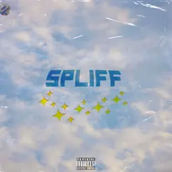 SPLIFF (feat. King Dillon) - Single by JayMar Loops album reviews, ratings, credits