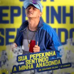 Sua Pepekinha Sentindo a Minha Anaconda - Single by MC Renatinho Falcão & DJ Macumba album reviews, ratings, credits