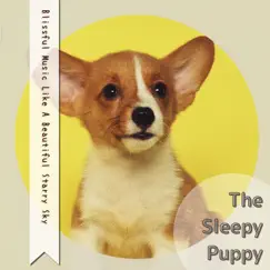 Blissful Music Like a Beautiful Starry Sky by The Sleepy Puppy album reviews, ratings, credits