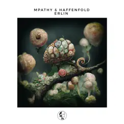 Erlin - Single by MPathy & Haffenfold album reviews, ratings, credits
