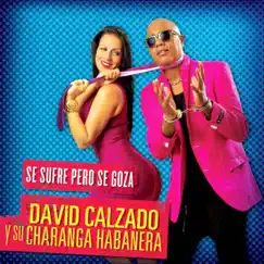 Se Sufre Pero Se Goza (Remasterizado) by David Calzado y Su Charanga Habanera album reviews, ratings, credits