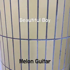 Beautiful Boy - Single by Melon Guitar album reviews, ratings, credits