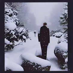 Snowbound - Single by Dove Downer album reviews, ratings, credits