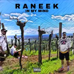 In My Mind - Single by RANEEK album reviews, ratings, credits