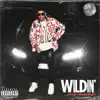 Wildin - Single album lyrics, reviews, download