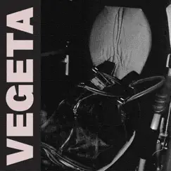 Vegeta - Single by Tarrzankota album reviews, ratings, credits