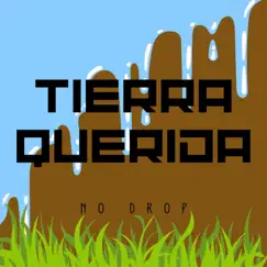 Tierra querida Song Lyrics