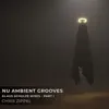 Nu Ambient Grooves - Klaus Schulze Mixes - Part I - Single album lyrics, reviews, download