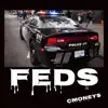 Feds - Single album lyrics, reviews, download
