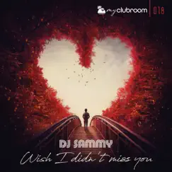 Wish I Didn't Miss You - Single by DJ Sammy album reviews, ratings, credits