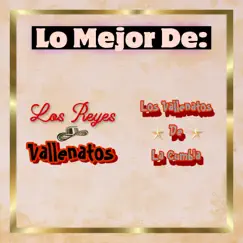 Duelo Sabanero Song Lyrics
