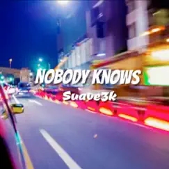 Nobody Knows - Single by Suave3k album reviews, ratings, credits