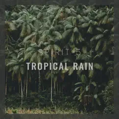 Tropical Rain by Spirit 5 album reviews, ratings, credits