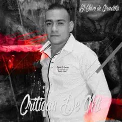 Brindo Por las Que Mean - Single by El Chivo de Girardota album reviews, ratings, credits