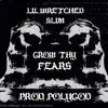 Grow Thy Fears - Single album lyrics, reviews, download