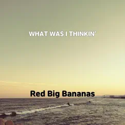What Was I Thinkin' - Single by Red Big Bananas album reviews, ratings, credits