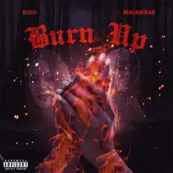 Burn Up Song Lyrics