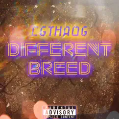 Different Breed - Single by CGTHAOG album reviews, ratings, credits