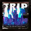 Aldeia Records presents: TRIP (feat. Alva, Andrade, Jafari & Bxrgez) - Single album lyrics, reviews, download