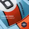 Shadow Forest (From "Chrono Cross") [Alternative Rock Cover Version] - Single album lyrics, reviews, download