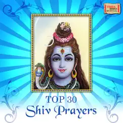 Shiva Tandava Stotram Song Lyrics