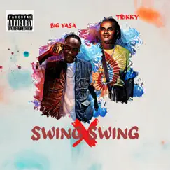 Swing Swing (feat. Big yasa) - Single by Trikky D album reviews, ratings, credits