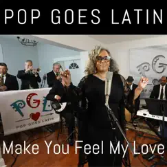 Make You Feel My Love - Single by Pop Goes Latin album reviews, ratings, credits