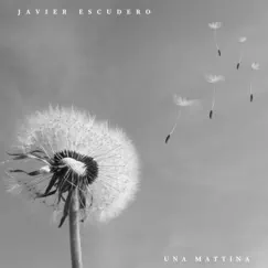 Einaudi: Una Mattina - Single by Javier Escudero album reviews, ratings, credits