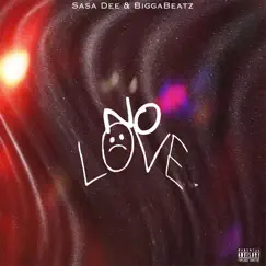 No Love (Extended Version) - Single by Sasa Dee & BiggaBeatz album reviews, ratings, credits