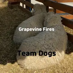 Grapevine Fires Song Lyrics