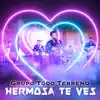 Hermosa Te Ves - Single album lyrics, reviews, download