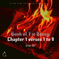 Book of Fie Beezy: Chapter 1 verses 1 to 9 by GFAM UNIT album reviews, ratings, credits