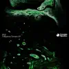 Frequenza Tornado - EP album lyrics, reviews, download