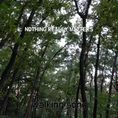 Nothing Really Matters Song Lyrics