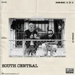 SOUTH CENTRAL by G Perico album reviews, ratings, credits