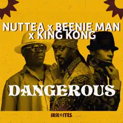Dangerous - Single by Beenie Man, King Kong, Nuttea & Irie Ites album reviews, ratings, credits