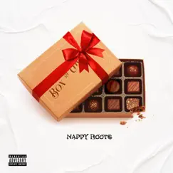 Box of Chocolates - Single by Nappy Roots album reviews, ratings, credits