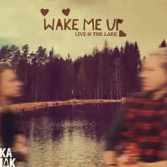 Wake Me Up (Acoustic) Song Lyrics