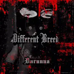 Different Breed - Single by Darunna album reviews, ratings, credits