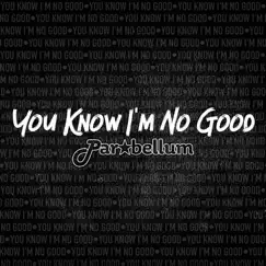 You Know I'm No Good - Single by Parabellum album reviews, ratings, credits