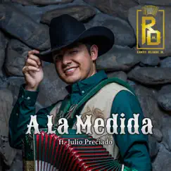 A la Medida (feat. Julio Preciado) - Single by Ramiro Delgado Jr. album reviews, ratings, credits