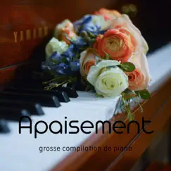 Apaisement (grosse compilation de piano) by Timo Capioni album reviews, ratings, credits