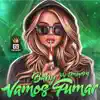 Baby Vamos Fumar (BregaFunk) - Single album lyrics, reviews, download