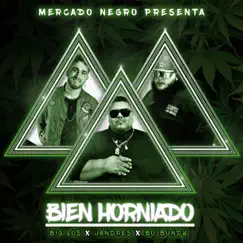 Bien Horniado (feat. Bo Bundy & Jandres) - Single by Big Los album reviews, ratings, credits