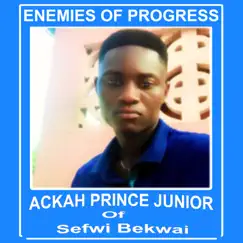 Enemies of Progress (feat. Ackah Prince Junior) - Single by FOREVER WE FUNK album reviews, ratings, credits